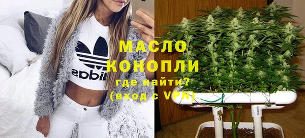 гидра Надым