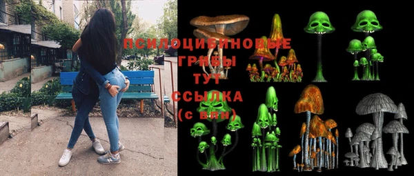 гидра Надым