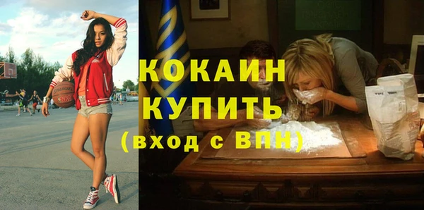 шишки Наволоки