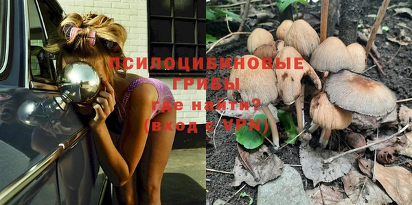 шишки Наволоки