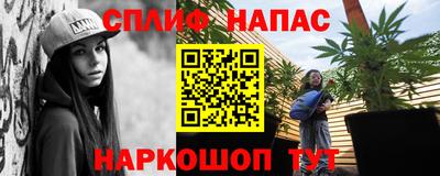спиды Гусев