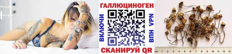 shop как зайти  Мыски  Галлюциногенные грибы прущие грибы  где найти наркотики 