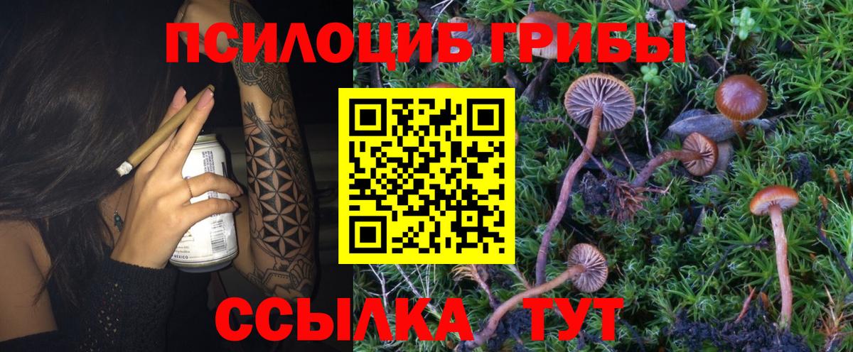 Псилоцибиновые грибы мухоморы  Вход с VPN  Мыски 