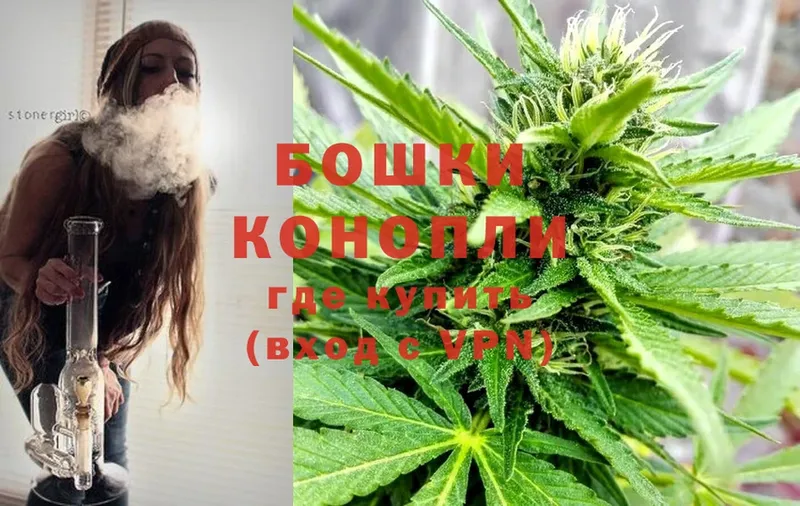 купить наркотики сайты  Мыски  Бошки марихуана SATIVA & INDICA 